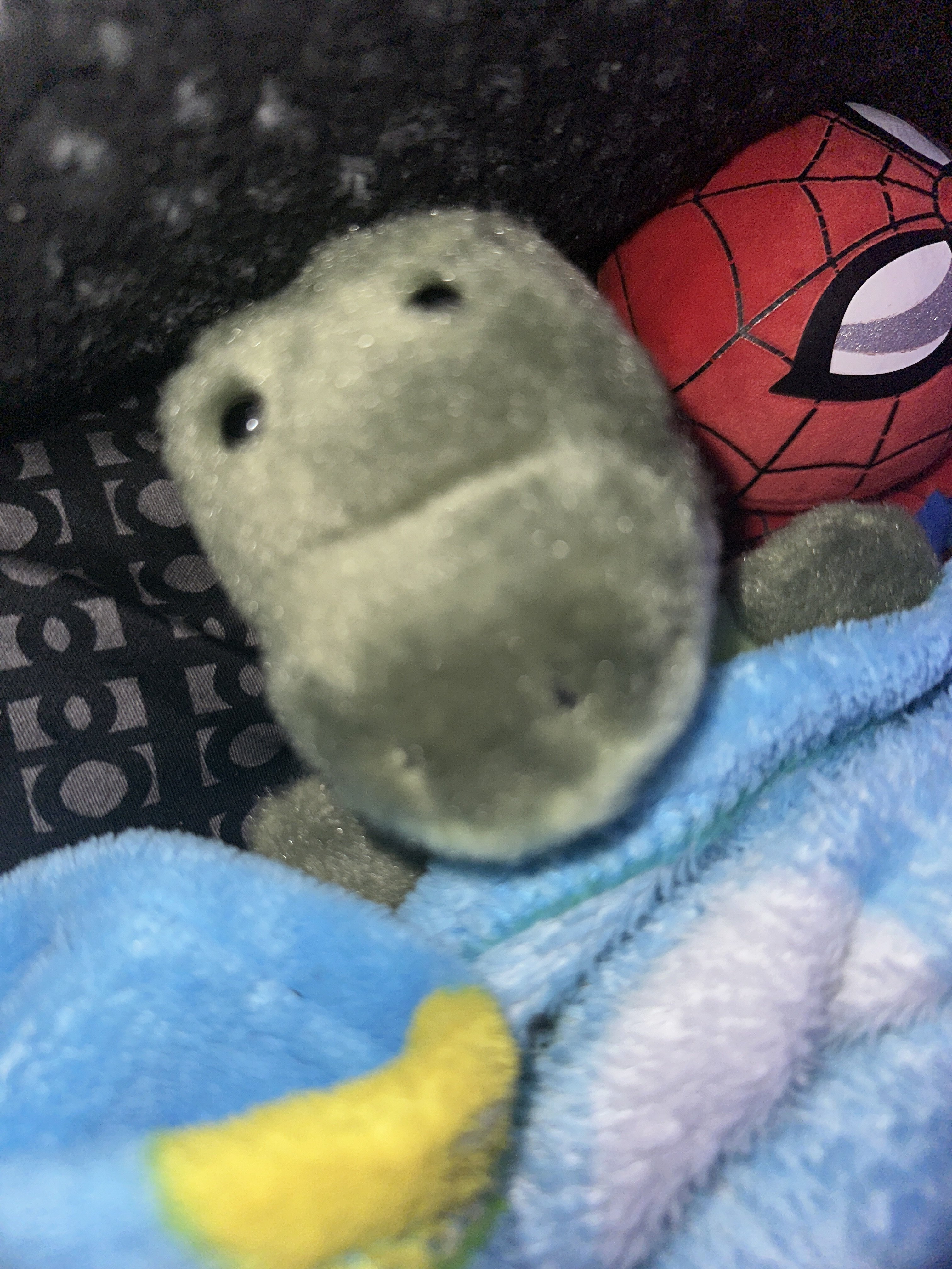 Sticker board glowing under the fairy lights.