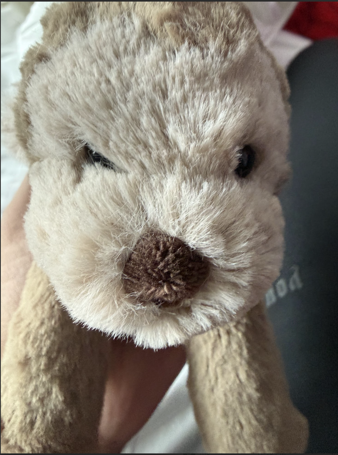 Wishlist board screenshot from our midnight shopping cart.