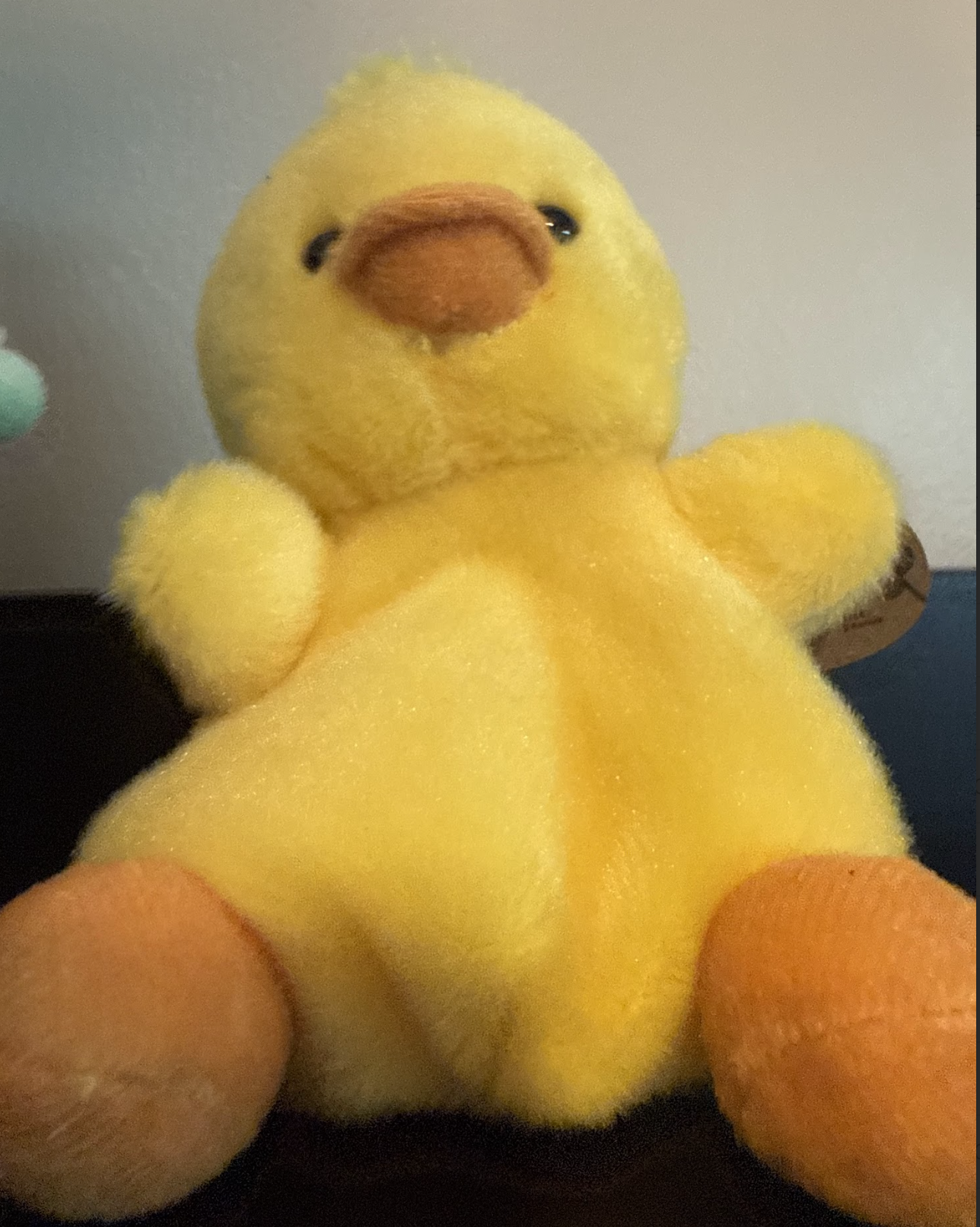 Color palette concept we built for future stickers.