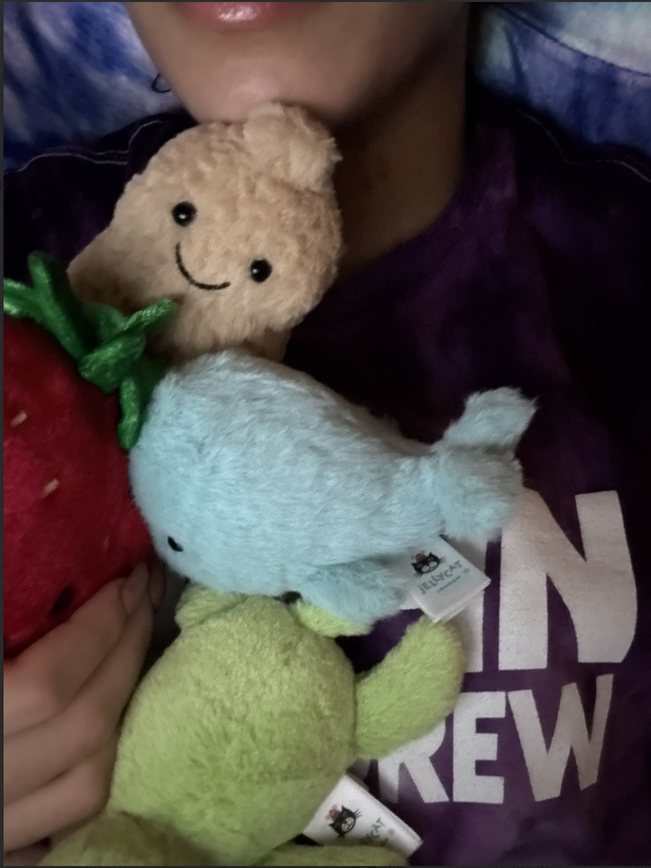 Moodboard grid capturing all her favorite mascots.